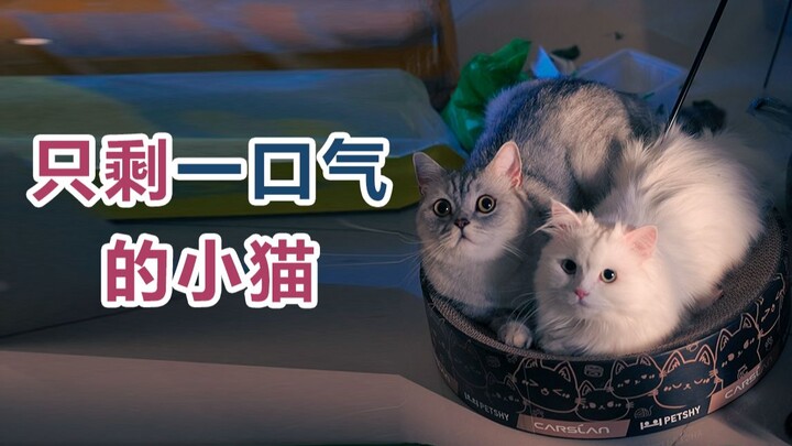 เขาไม่กล้าพูดเสียงดัง เพราะเหลือเพียง “ลมหายใจเดียว” เท่านั้น