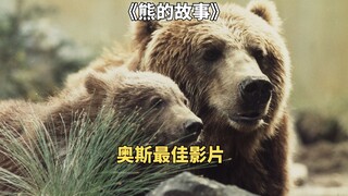 失去妈妈的小熊，如何在危险重重的山林中独自求生。奥斯最佳影片《熊的故事》