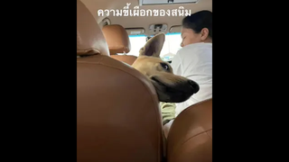 ไม่ค่อยอยากรู้
