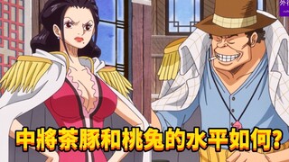 中将茶豚和桃兔的水平如何？#510
