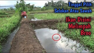 Spot Mancing Yang Luar Biasa - Sampai Di Sawah Pun Ada Ikannya