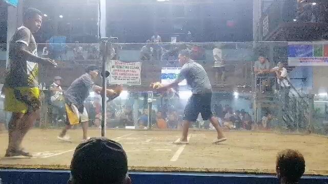 my Hybreed bulik🤗 achievement 2wins 1 draw