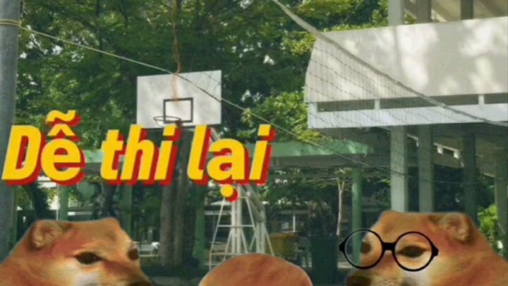 cheems mùa thi cử