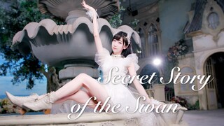 想知道天鹅的秘密吗❤西四❤Secret Story of the Swan~幻想童话【IZ*ONE全曲翻跳】