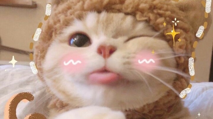 Ahhhhhhhh hk biết có ai là hủ khum nhỉ :))??