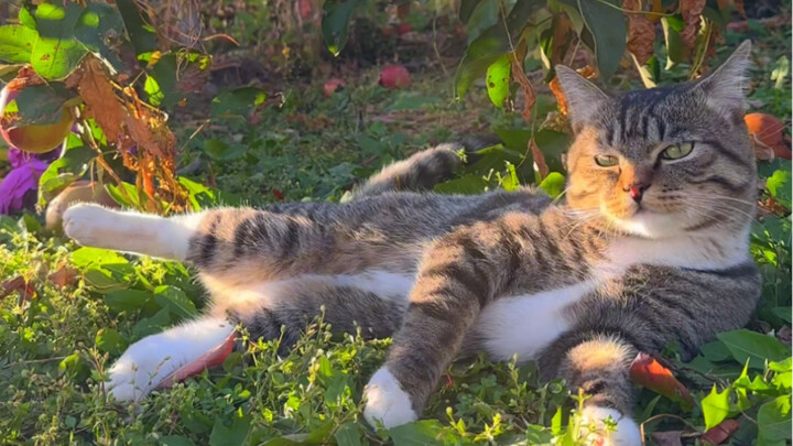 Ngakak banget! Sudah basah pantatnya, tapi masih tahu buat angkat kaki biar keringin!