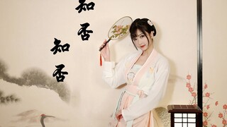 【小七Tomo】❀知否知否❀昨夜雨疏风骤，浓睡不消残酒，所以我再睡会~