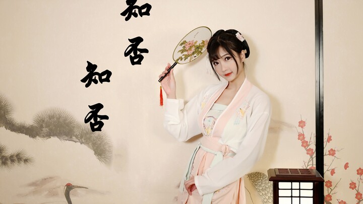 【小七Tomo】❀知否知否❀昨夜雨疏风骤，浓睡不消残酒，所以我再睡会~