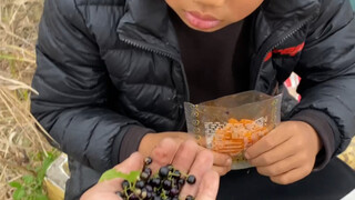 When we were kids, there weren't any snacks around, so wild fruits became our favorite treats.