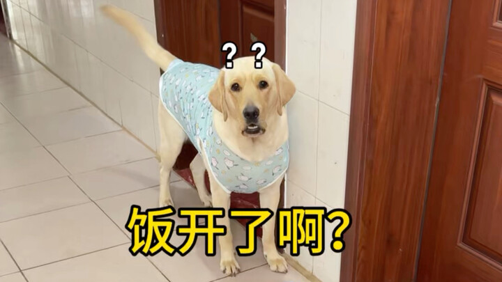 No dinner if you get the word wrong