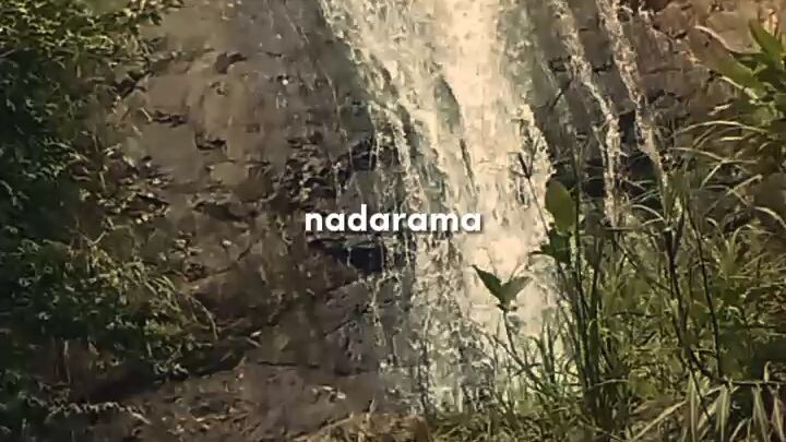 nature trip 🍃