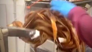 只要你开始卷了，就停不下来了