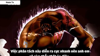 TOP 7 SỰ THẬT VỀ KATAKURI #22- 8