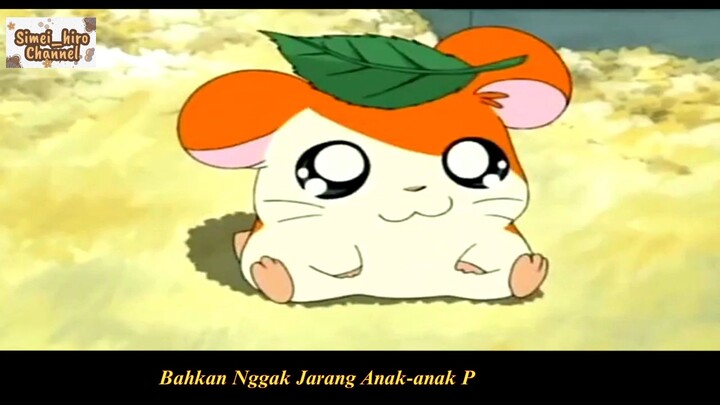 HAMTARO, PERNAH NONTON?
