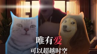 唯有爱可以超越时空！——《小鸟壁纸》（15）