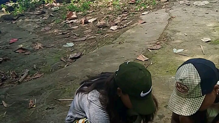 food trip