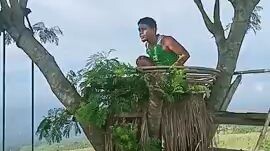 Higanteng manok labuyo