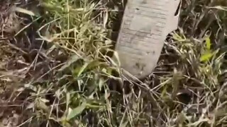 这TM人都摔傻了