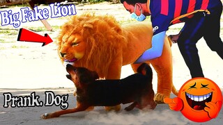 Big Fake Lion vs Real Dogs Prank Very Funny Surprise Scared Reaction - Try Not To laugh
