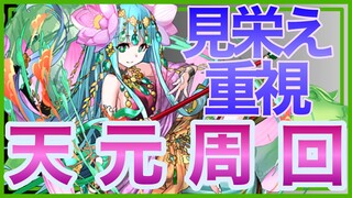 【パズドラ】見た目重視で天元周回【モンスター経験値50倍】