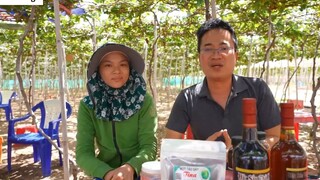 DU LỊCH NINH THUẬN _ Khám phá Cung Đường Ven Biển DT702 đến Vịnh Vĩnh Hy 28