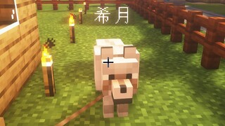 【暮希月】你看这个鲸宝，好像一条狗啊