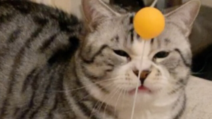 Early Signs of Dementia