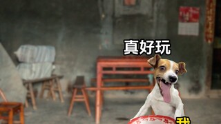 Ketika kamu sudah menjadi orang dewasa #Teater Kecil Meme Kucing #Rekayasa Realistis #Berkembang #Ma