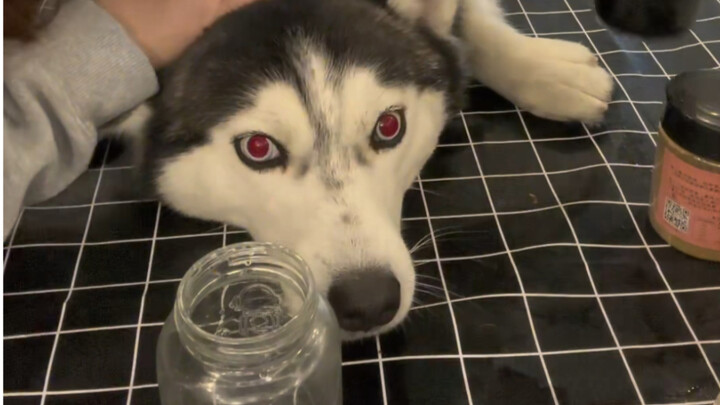 Pour the soul juice on it!