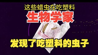 علماء الأحياء يكتشفون حشرات تأكل البلاستيك