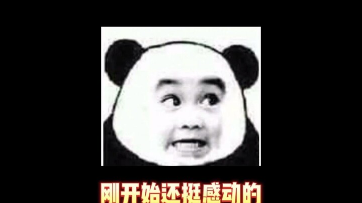 Mới đầu còn thấy khá ổn, ai ngờ...