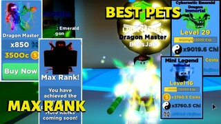 UNLOCKING THE FINAL RANK WITH THE BEST PETS | Roblox Ninja Legends New Update!