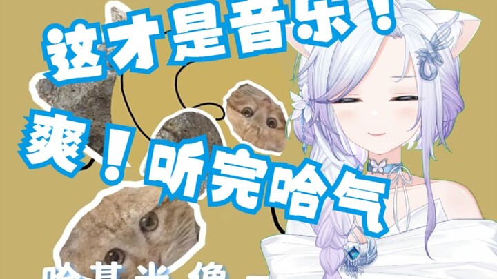 主播能唱大石碎基米吗？