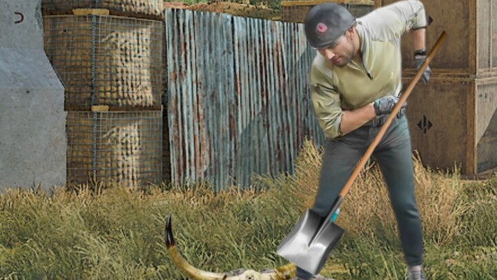 When the Bee Doctor Goes Treasure Hunting