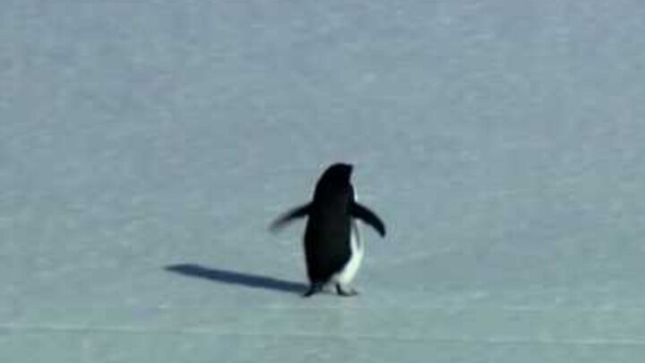 It just feels really off, friend...