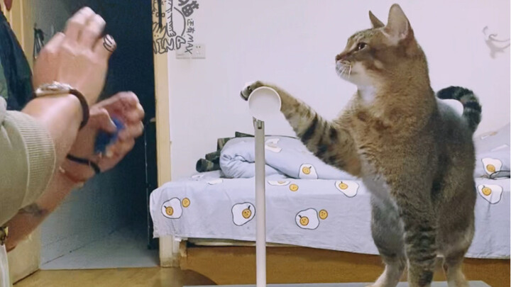 روتين تدريب DD ماو: الضغط على مصباح الطاولة