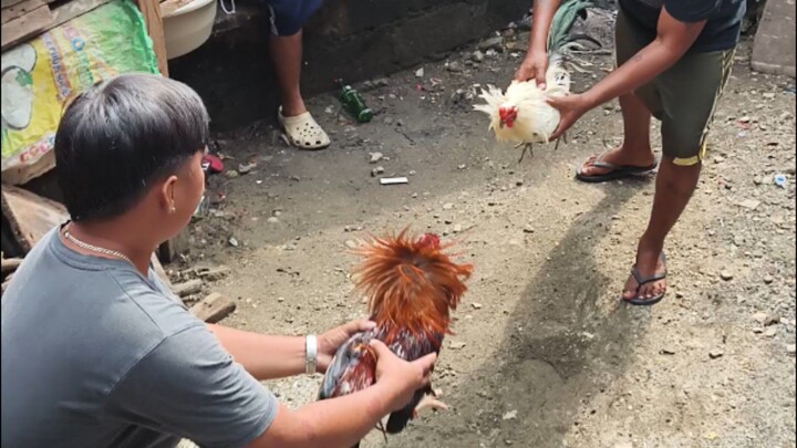 Oct 5 Pula vs Kanawayin