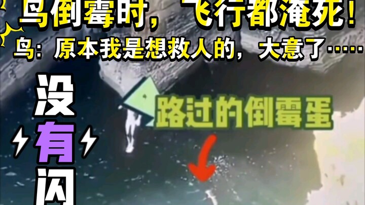 Saat burung sial, terbang pun bisa tenggelam! Burung: Sebenarnya aku mau menyelamatkan orang, tapi s