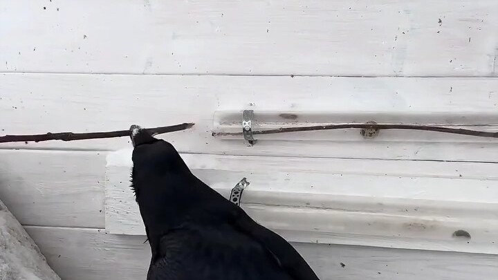 Don't hold your child back from taking the college entrance exam.