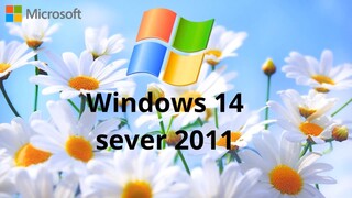 Windows 14 sever 2011.