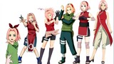 Naruto: Haruno Sakura's Evolution