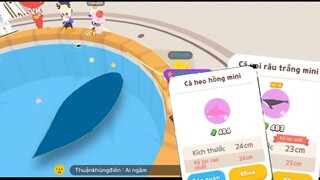 PLAY TOGETHER Săn Cá Heo Hồng Cá Voi Râu Trắng mini HG Gamer
