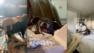 我的狗勾有点与众不同 Pt.4