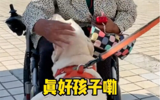 Saat kamu sudah tua dan tak bisa berjalan lagi, kamu masih akan memanggil-manggil si anjing kecil, b