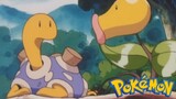 Pokémon Tập 172: Tsubotsubo VS Madatsubomi (Lồng Tiếng)