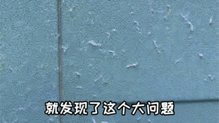 ทริปเดินทางด้วยรถบ้านกำลังจะเริ่มต้น แต่กลับพบว่าตัวรถเต็มไปด้วยขนสีขาว