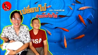 ลูกปลาแปลงร่าง before - after  fish transform  l คุณพ่อคราฟ EP.25