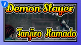 Demon Slayer|【EP 2】Fighting Scenes of Tanjiro &Kamado_1