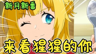 红毛香菜大猩猩，黄毛娇蛮“大”公主，都是老婆！【新月新番特别篇】