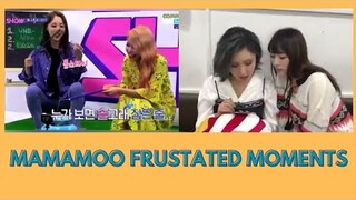 MAMAMOO FRUSTATED MOMENTS